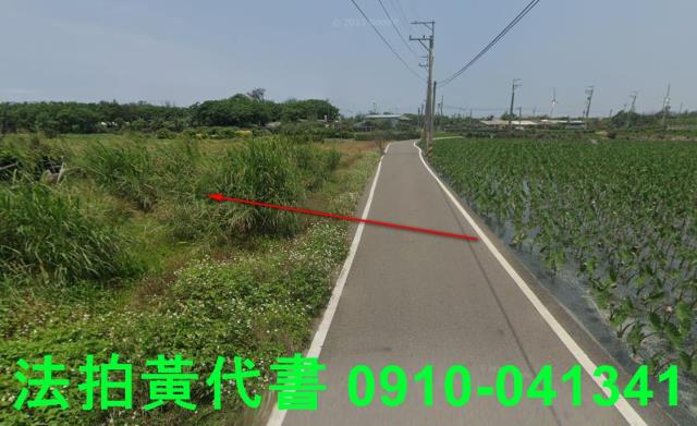 大安區法拍農地-4