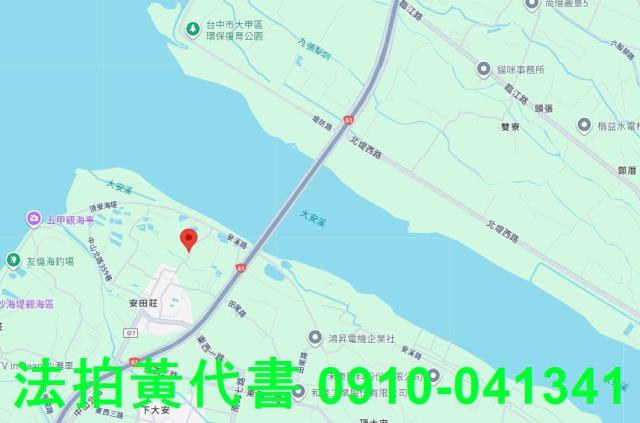 大安區法拍農地-8