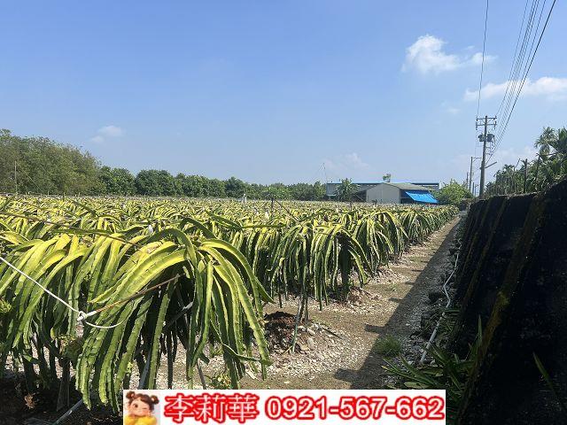屏東麟洛農地-10