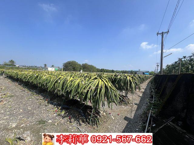 屏東麟洛農地-11