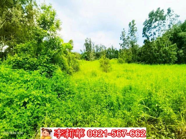 台南白河農地-11