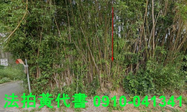 新竹新豐建地法拍-1