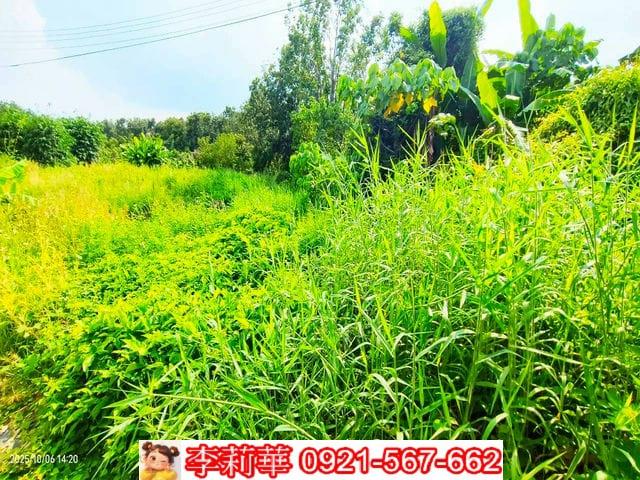 台南白河農地-11