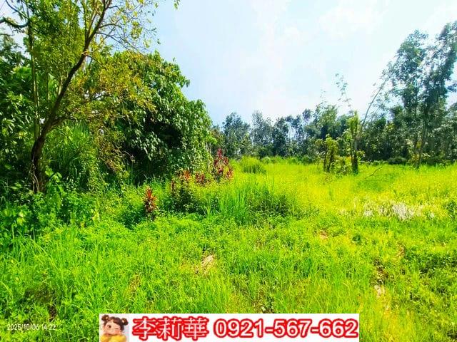 台南白河農地-9