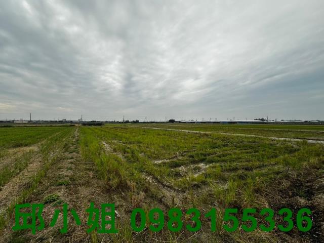 台南柳營農地-1