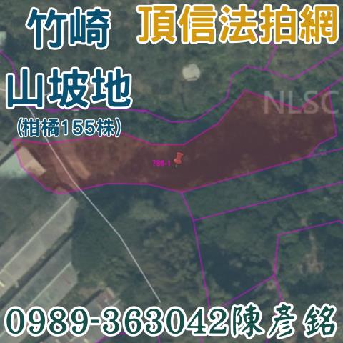 嘉義竹崎農地法拍-2