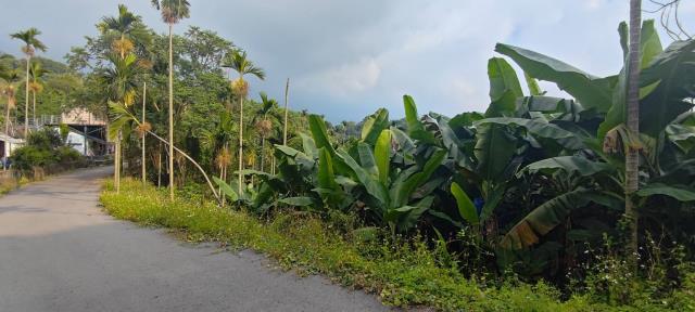 台中東勢農地-1