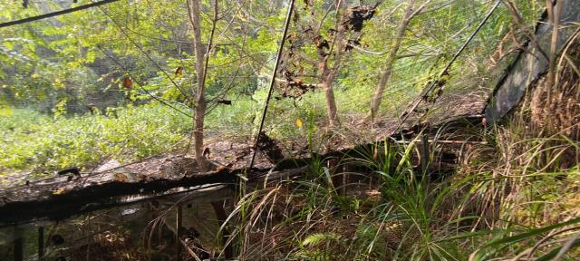 台中東勢農地-7