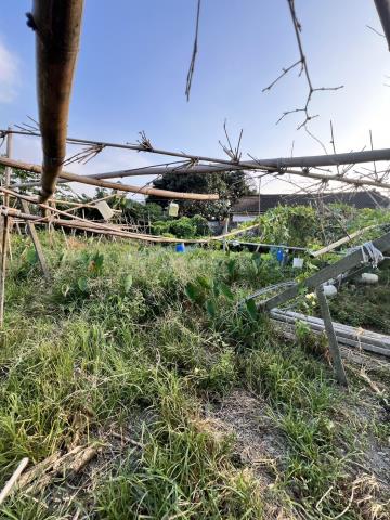 台中東勢農地-3