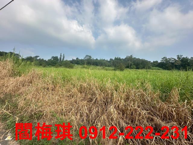 台南新化農地-3