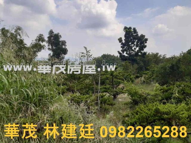 左鎮拍賣農地-5