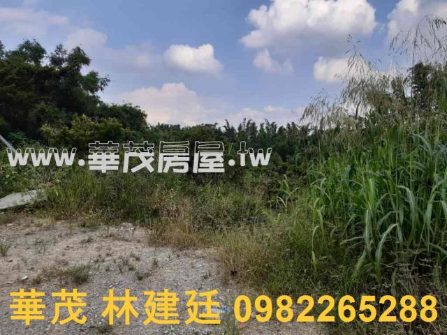 左鎮拍賣農地-8