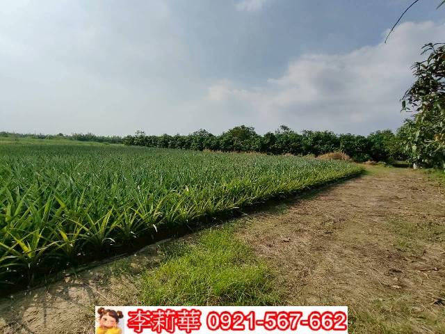 台南歸仁農地-5