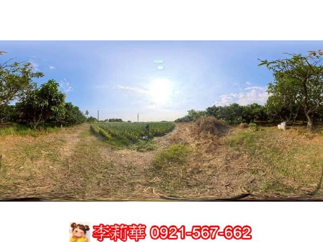 台南歸仁農地-8