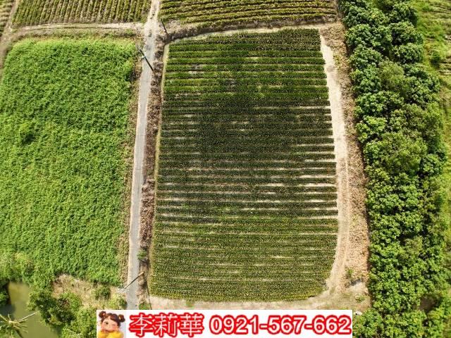 台南歸仁農地-9