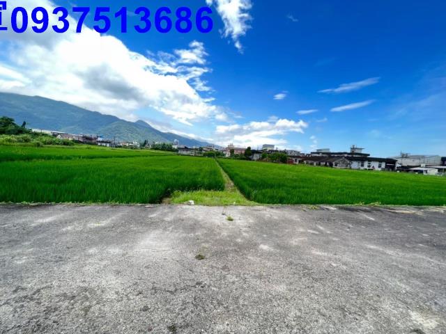 宜蘭礁溪農地-2