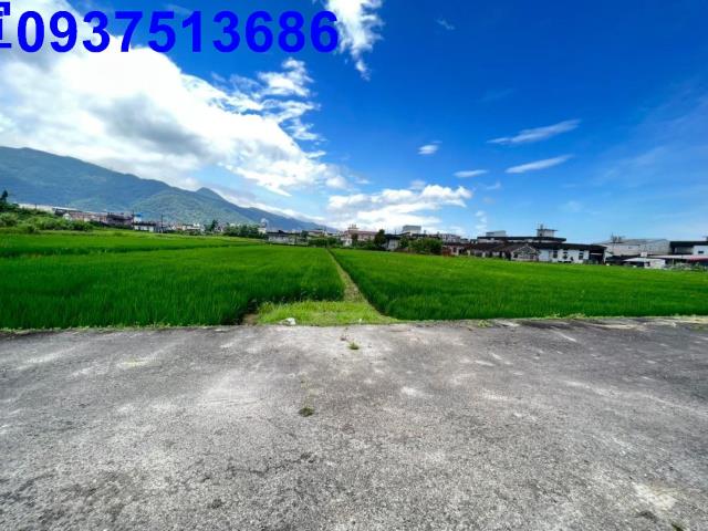 宜蘭礁溪農地-3