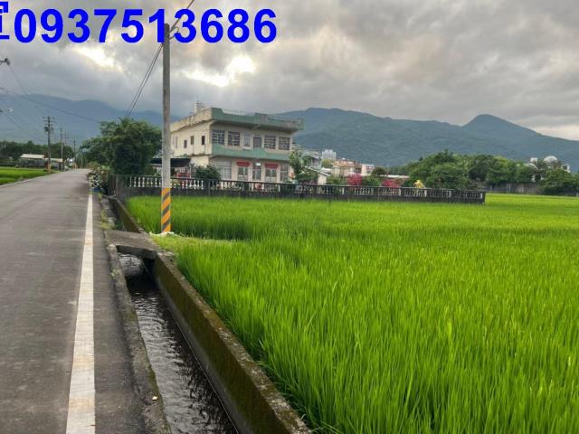 宜蘭礁溪農地-9