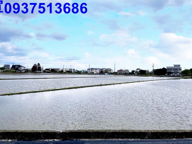 宜蘭宜蘭市農地-11