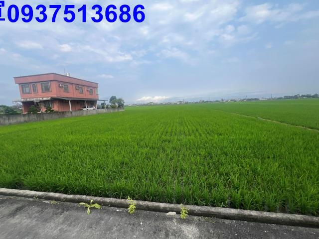 宜蘭礁溪農地-2