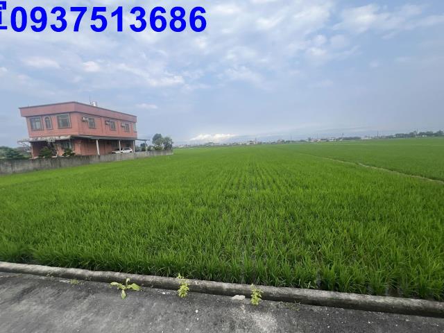 宜蘭礁溪農地-9