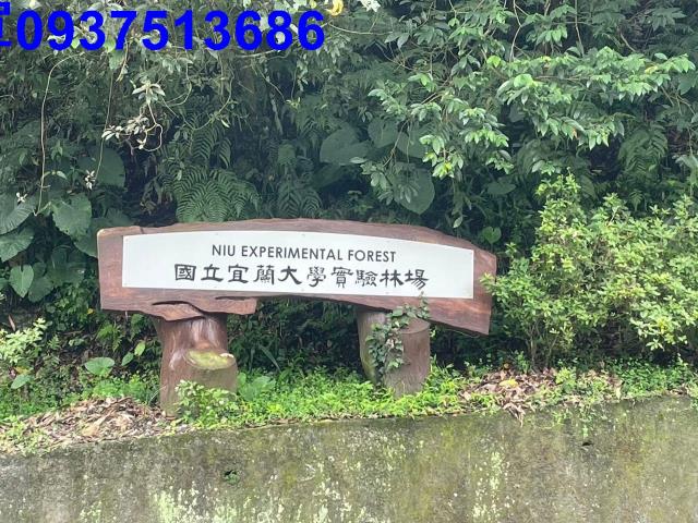 宜蘭礁溪山坡地-11