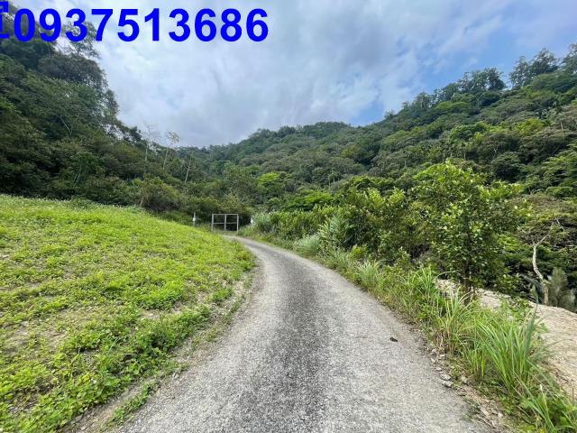 宜蘭礁溪山坡地-12