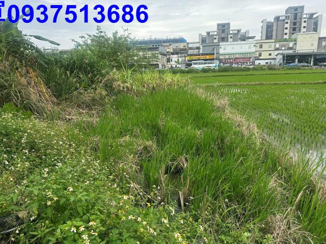 宜蘭宜蘭市道路地-10