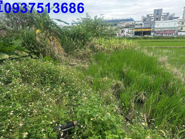 宜蘭宜蘭市道路地-14