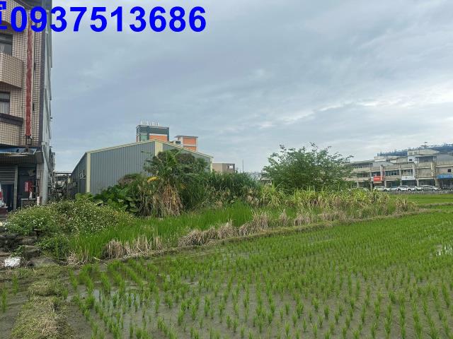 宜蘭宜蘭市道路地-9