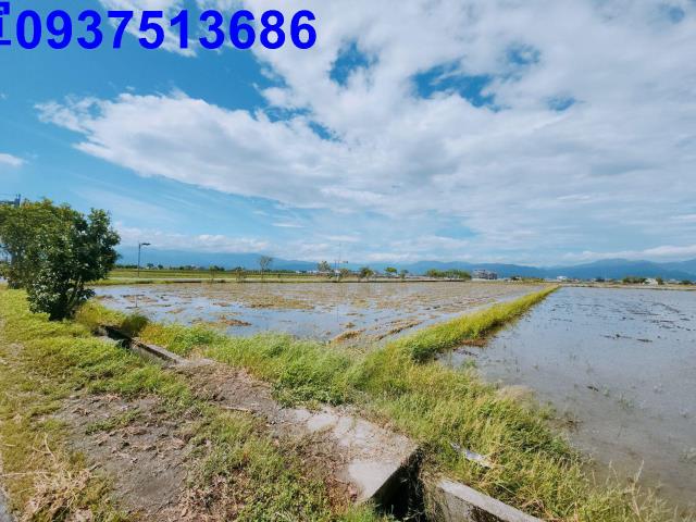 宜蘭壯圍農地-10