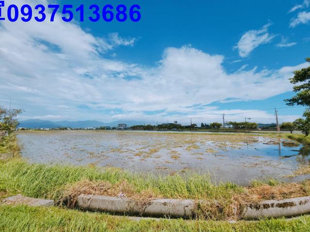 宜蘭壯圍農地-8