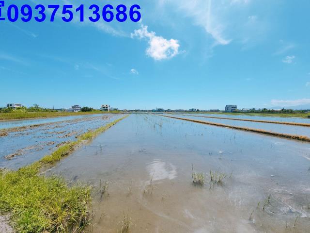 宜蘭礁溪農地-5