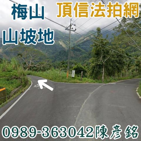 梅山拍賣農地-1