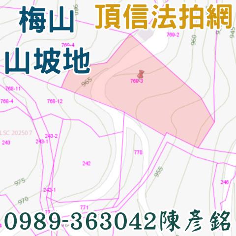 梅山拍賣農地-3