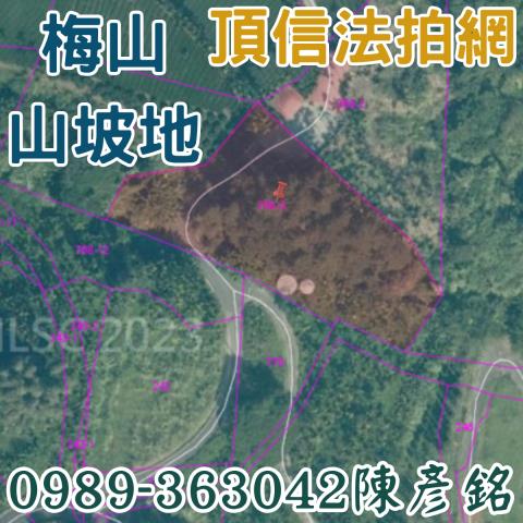 梅山拍賣農地-4