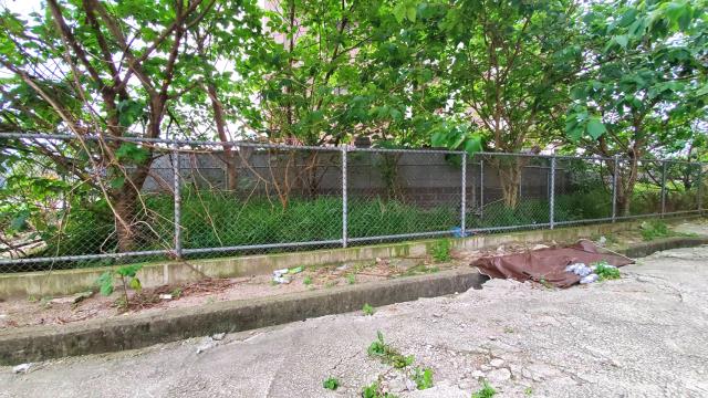 桃園大園工業地-1