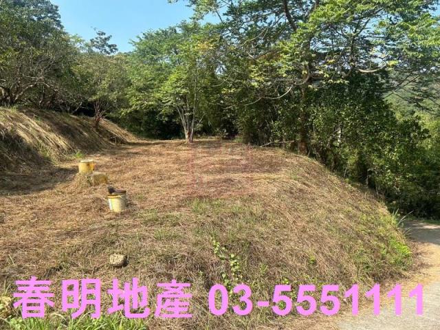 苗栗三灣農地-13