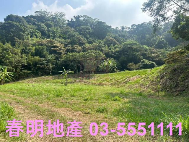 苗栗三灣農地-4