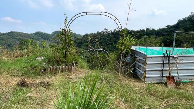 新竹寶山農地-4