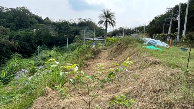 新竹寶山農地-9