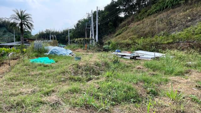 新竹寶山農地-13