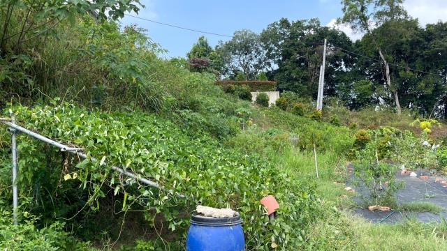 新竹寶山農地-14