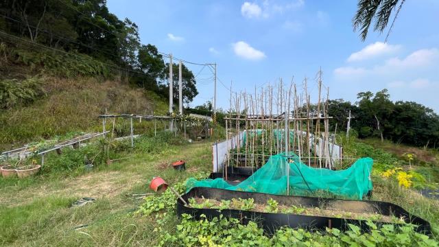 新竹寶山農地-1