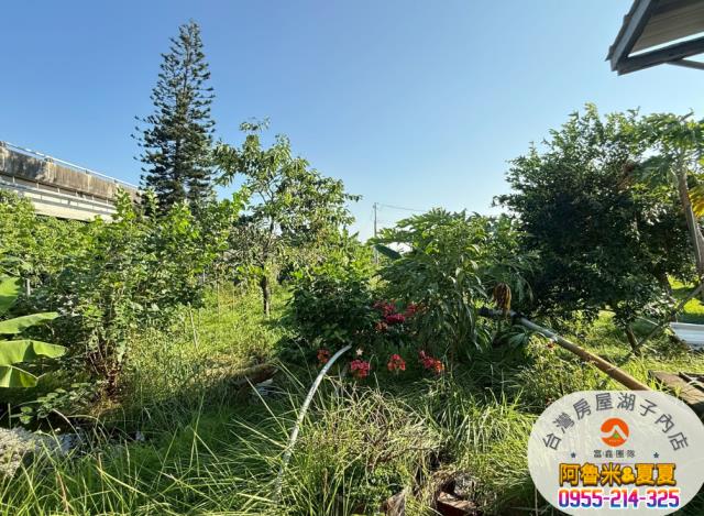 雲林四湖農地-3