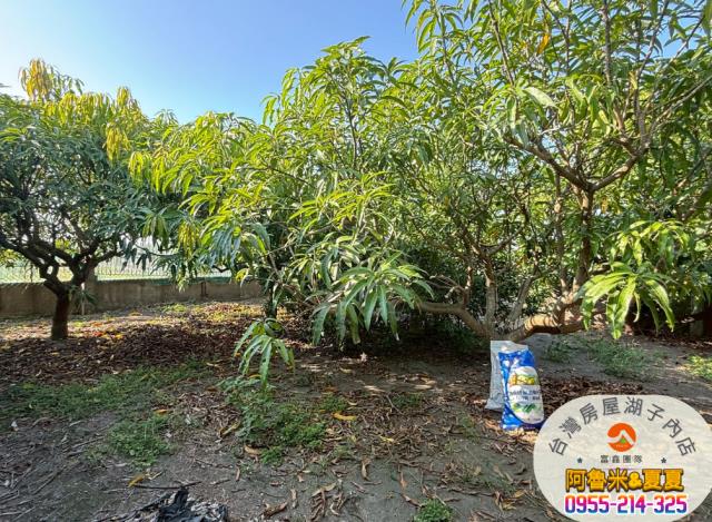 雲林四湖農地-4