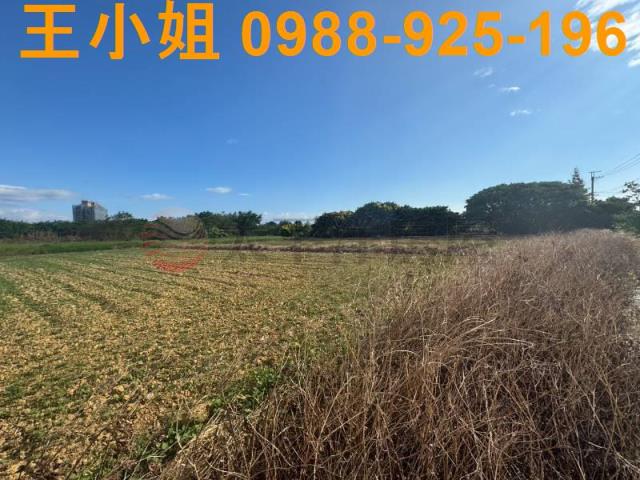 桃園楊梅農地-6