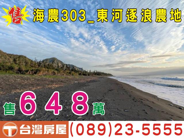 台東成功農地-1