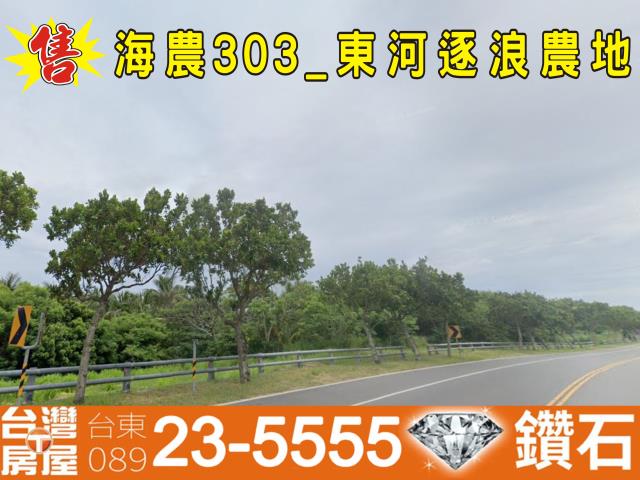 台東成功農地-2