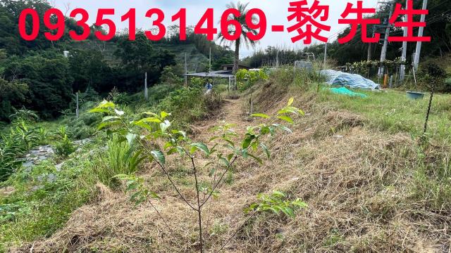 新竹寶山農地-9